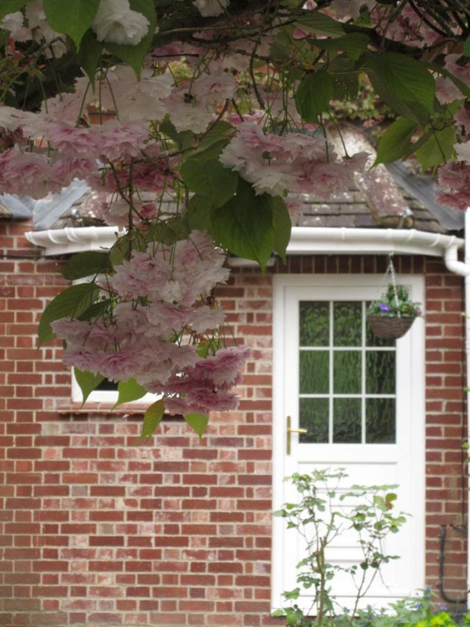 Shear Annexe Flat Apartment Cambridge  Exterior photo